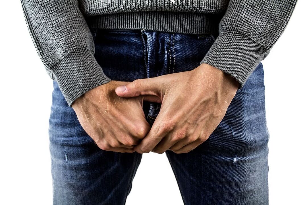 Propriétés du corps masculin
